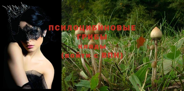 прущая мука Алзамай