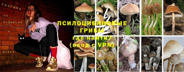 твердый Абинск