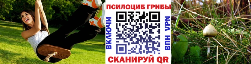 Псилоцибиновые грибы мицелий  закладка  Тюмень 